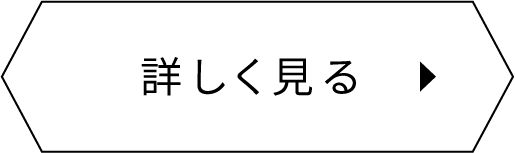 詳しく見る